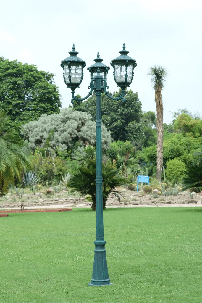 DSCF5085