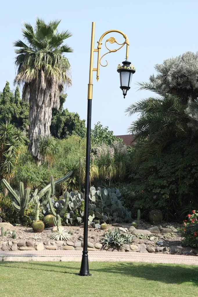 Light Pole6